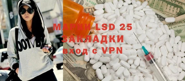 шишки Аркадак