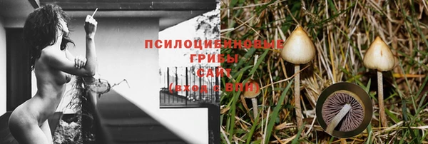 PSILOCYBIN Арсеньев