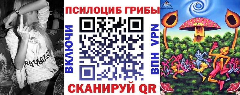 Галлюциногенные грибы Psilocybe  Белокуриха 