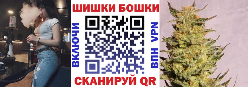 купить   Белокуриха  Канабис Amnesia 
